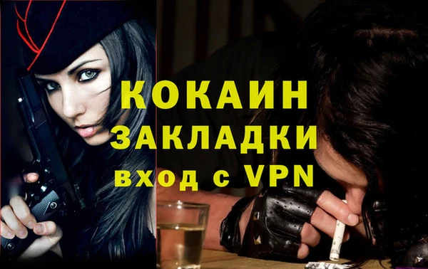 крисы Щучье