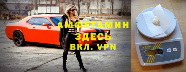твердый Щигры