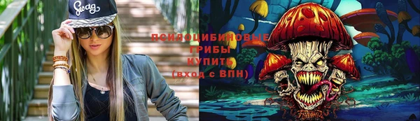 шишки Яровое