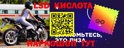 молекула духа Донецк