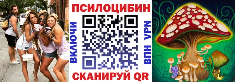 где найти наркотики  Златоуст  Псилоцибиновые грибы ЛСД 