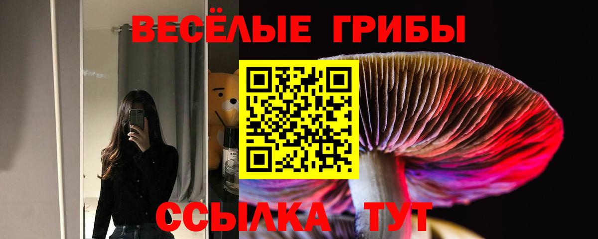 Галлюциногенные грибы ЛСД  Вход с VPN  Златоуст 
