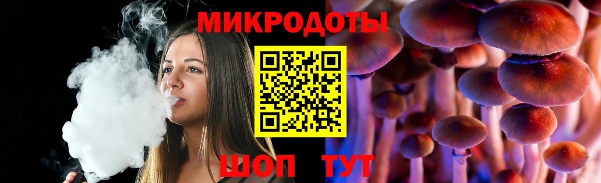 Псилоцибиновые грибы Psilocybe  Златоуст  Псилоцибиновые грибы прущие грибы 